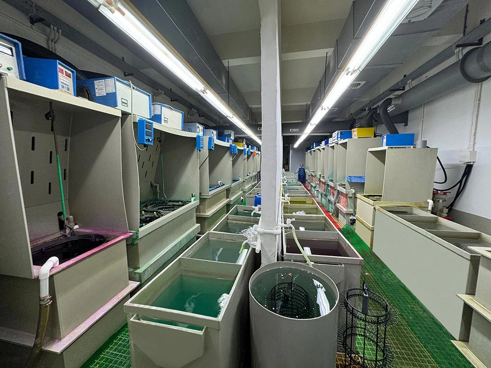 quality testing site